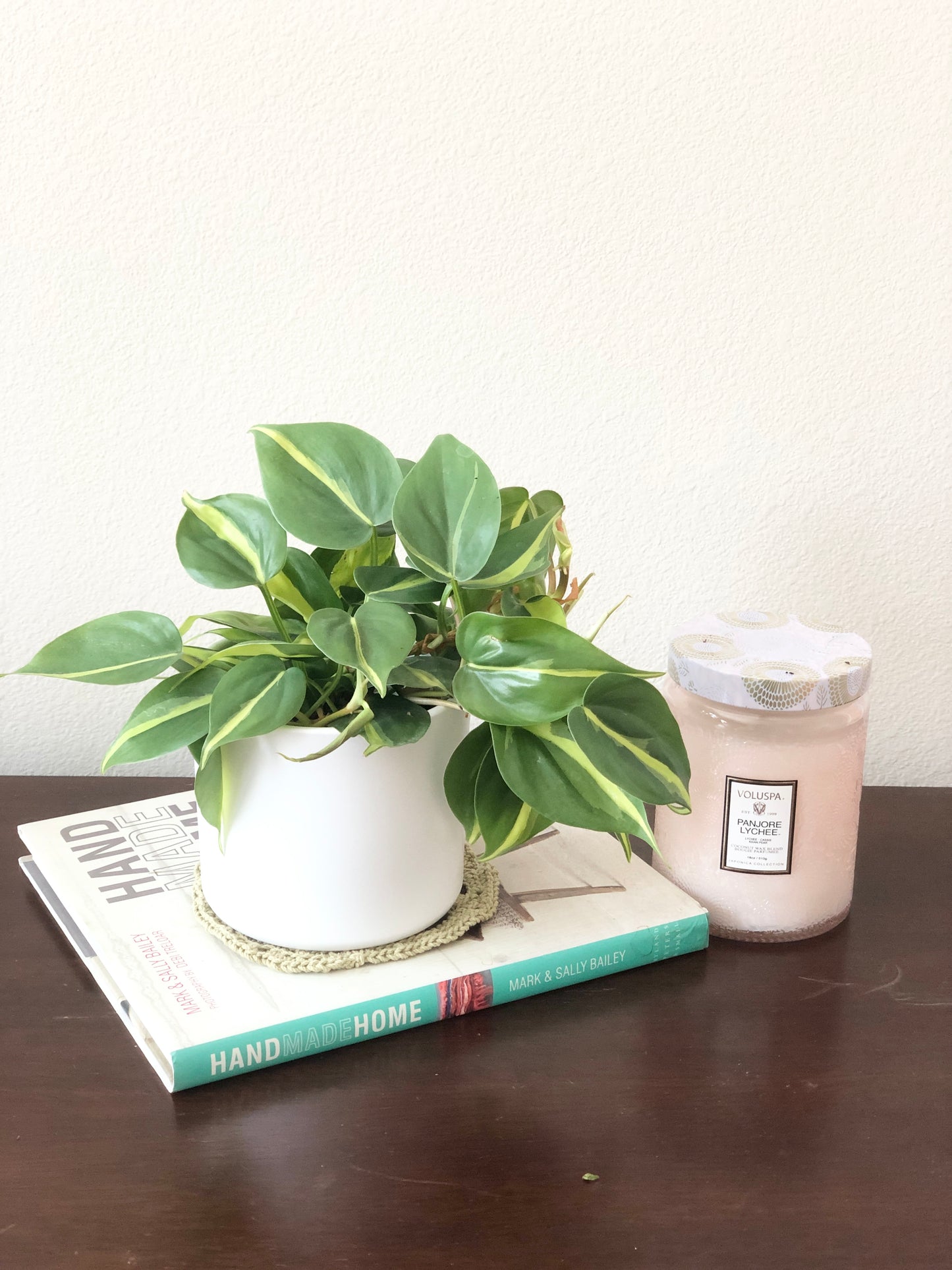 Indoor-Loving Philodendron Heartleaf in White or Black Ceramic Pot (4”)